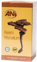 Reishi Mycelium3